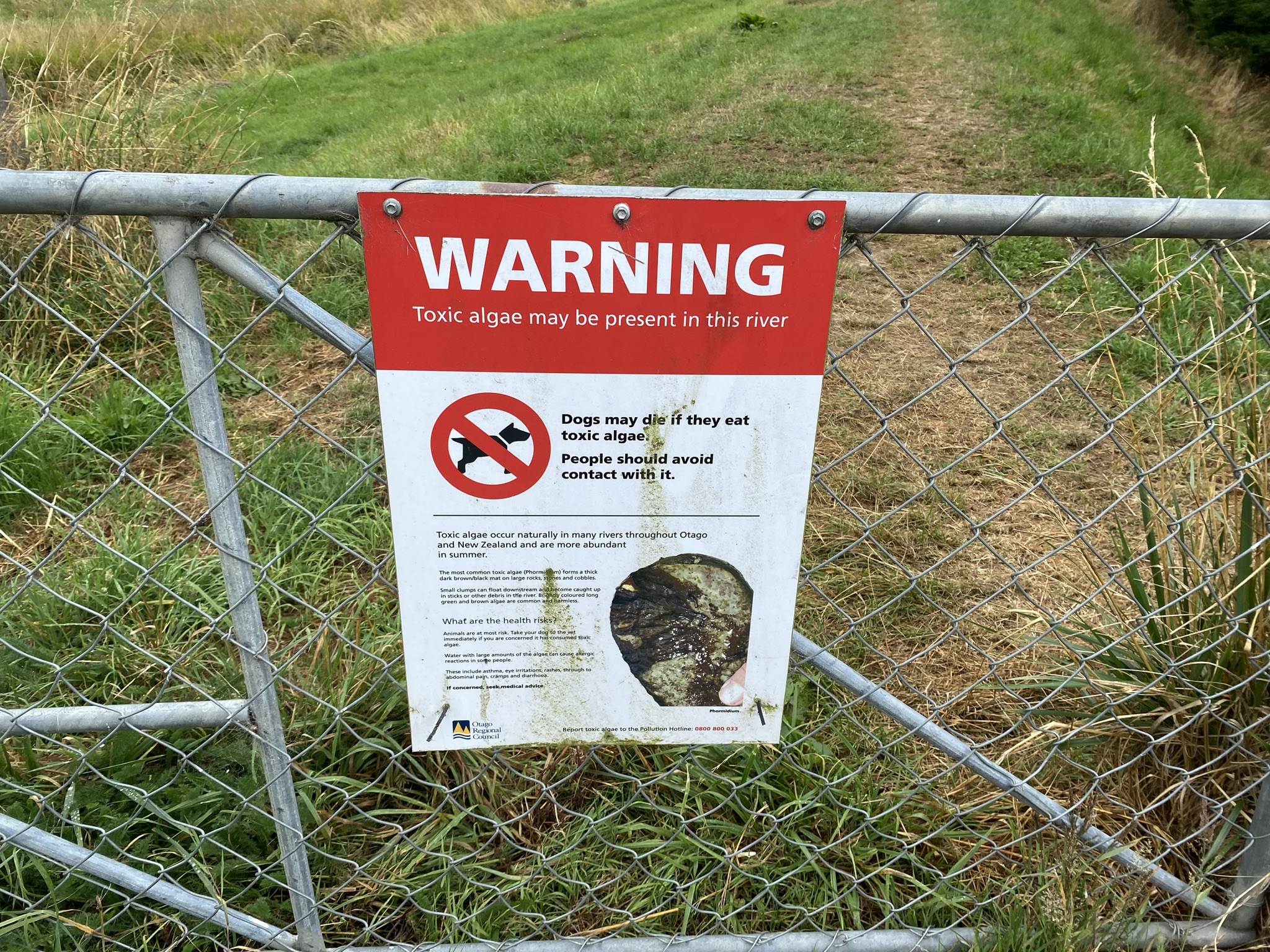 Toxic algae warning for Whakaehu Silverstream - once a place Kāi Tahu tīpuna would bathe in, today we are unable to access it.