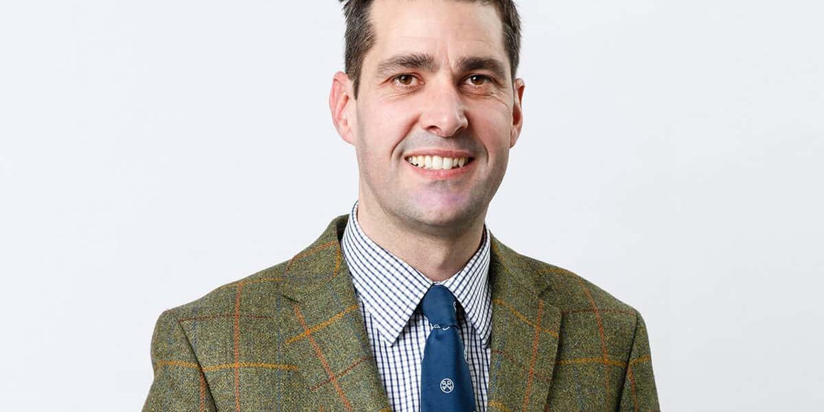 Alt Awarua Michael Stevens 2